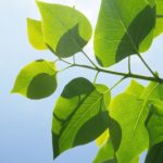 学校給食はほんまに安全なのか？