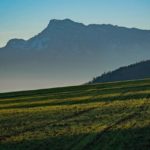 自分ではわからないとこが変化していってる