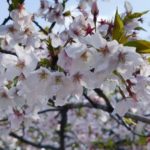 毎日やってると絶対差となり追い越されなくなる