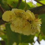 父親と母親の役割ってなんやろ？