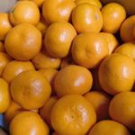 気候変動が和歌山みかんを変える！2025年冬の異変！