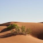 人生で最後に残るのは、集めたものじゃなく与えたもの